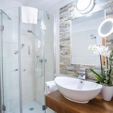 Aqualux Wellness- & Tagungshotel Otel Bad Salzschlirf