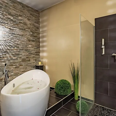 Otel Aqualux Wellness- & Tagungshotel 4*